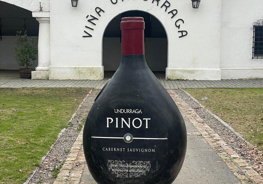Viña Undurraga